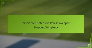 3V3 Soccer Defensive Roles: Sweeper, Stopper, Wingback